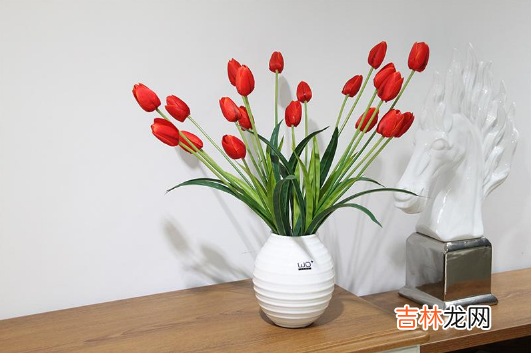 水培郁金香需要剥皮吗
