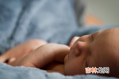 鼠宝宝好听的男孩名字大全