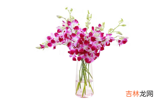 醒花的水可以重复用吗