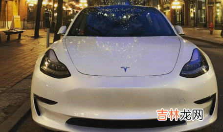 为什么开特斯拉的都是女的