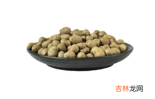 山药豆发芽了是绿芽还是白芽