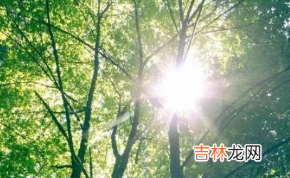 2022三伏天什么时候最热