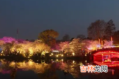 2022武汉东湖夜樱需要预约吗