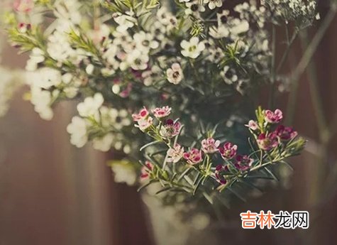 啥弱点会致使你被人玩弄于鼓掌之间?