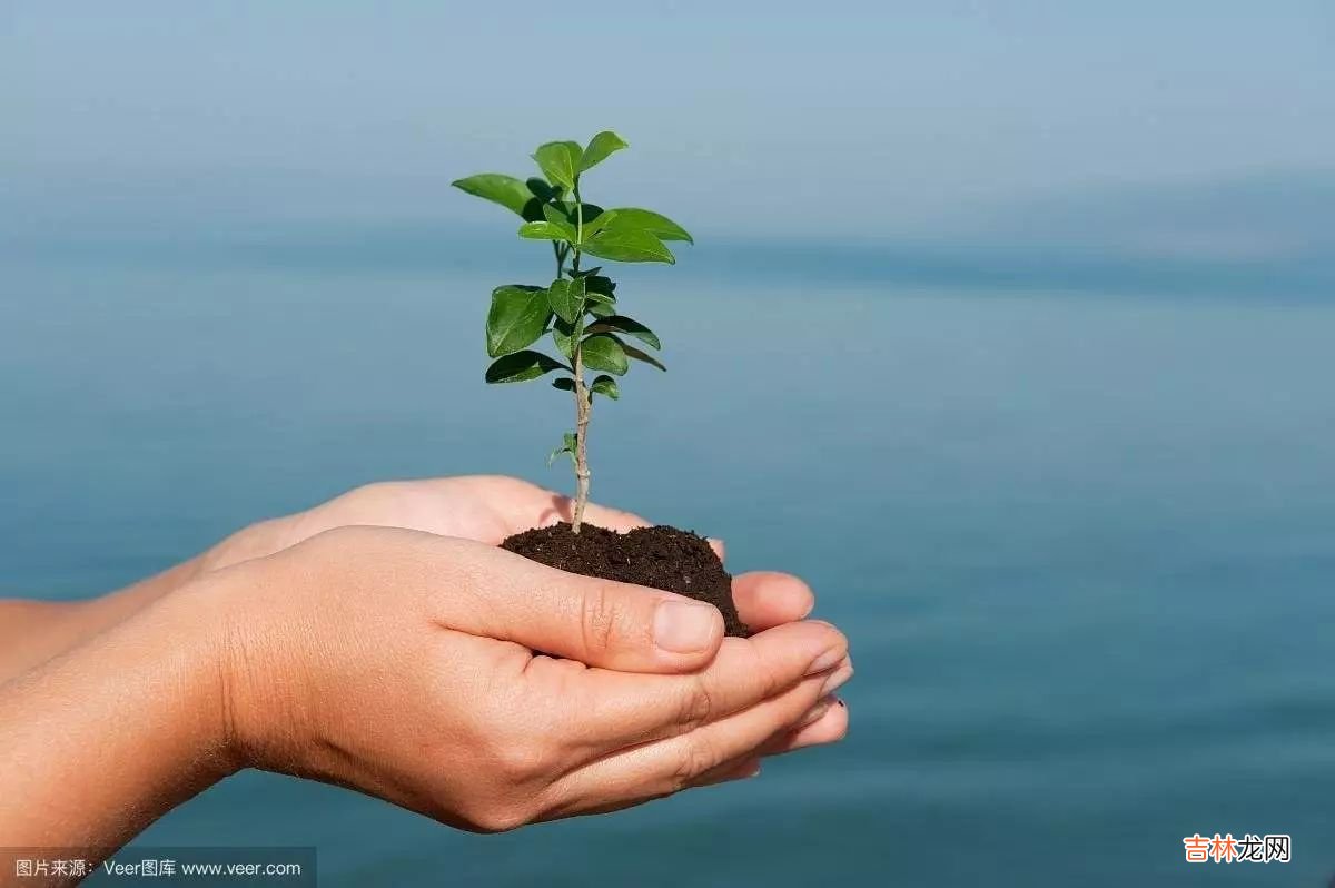 《少年的你》孩子误入歧途，都怪父母没教育好！