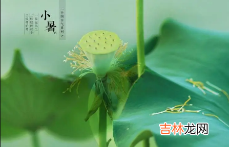 2022年小暑是几月几日星期几