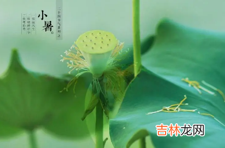2022年小暑是几月几日星期几