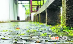 2022年深圳梅雨季节是什么时间