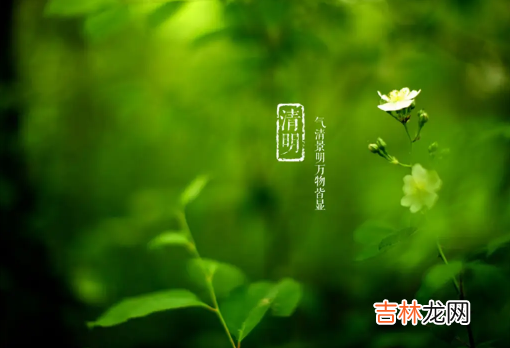 2022年清明节几点几分几秒