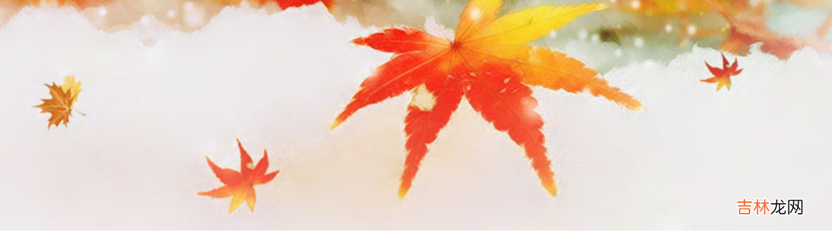 空格的代码详细介绍 HTML中空格代码是什么
