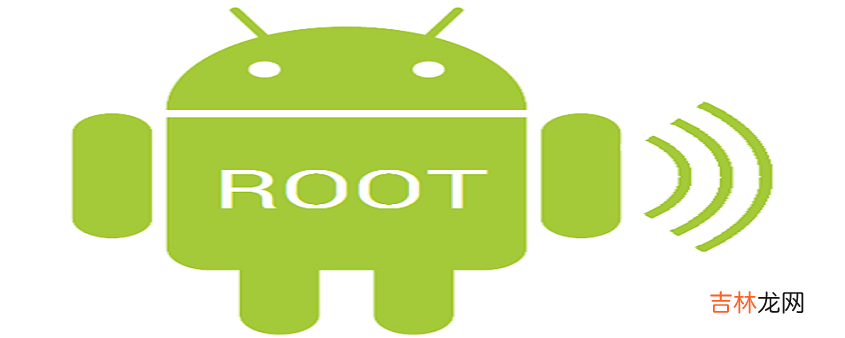 root是什么意思