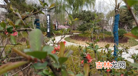 2022清明节去木兰草原露营晚上冷吗