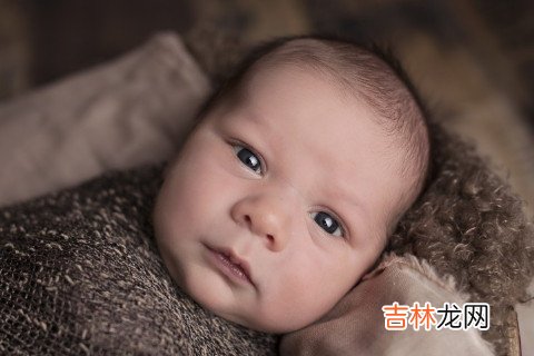 2020鼠年新生男孩取名字大全
