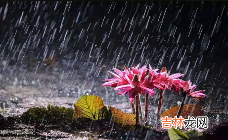 2022杭州有梅雨天气吗