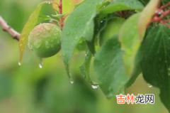 2022杭州梅雨季节是哪几个月