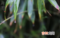 舟山梅雨季节是什么时间2022