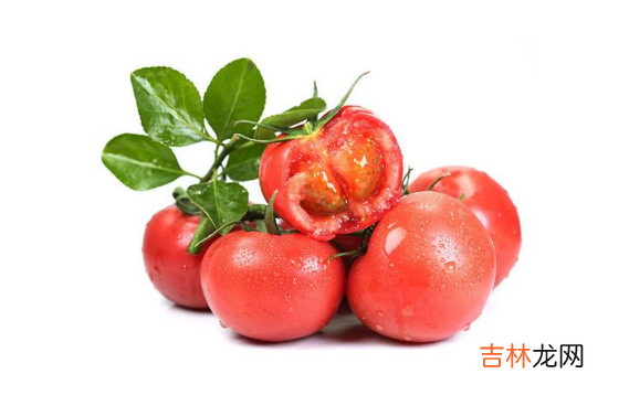 普罗旺斯番茄是水果番茄吗