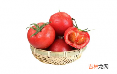 普罗旺斯西红柿和普通西红柿怎么区分