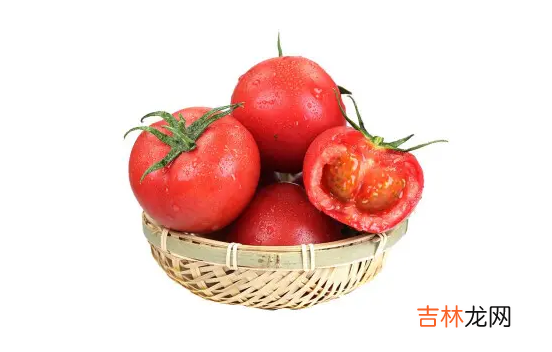 普罗旺斯西红柿和普通西红柿怎么区分