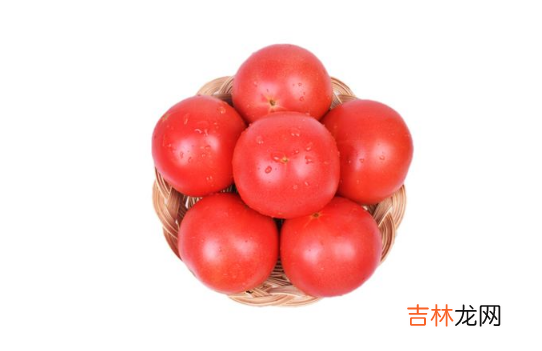 普罗旺斯西红柿和普通西红柿怎么区分