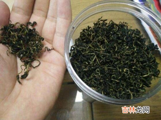 天天喝蒲公英茶5大后果 蒲公英茶可以天天喝吗