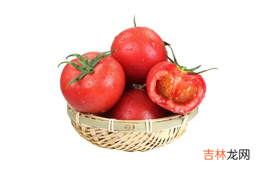 普罗旺斯西红柿哪里的最正宗