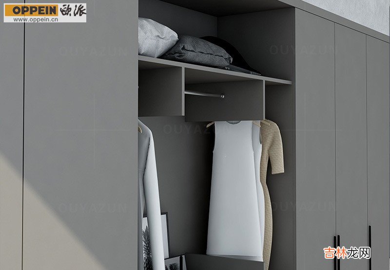 整体衣柜定制效果图大全-衣柜定制图片欣赏