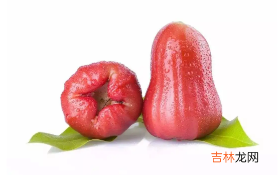 莲雾有很多水吗
