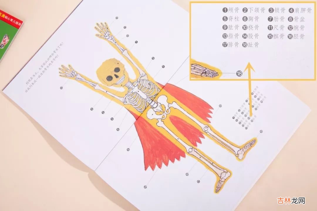 如何满足孩子的求知欲