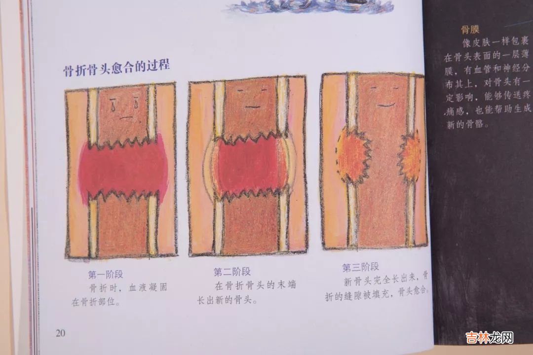 如何满足孩子的求知欲