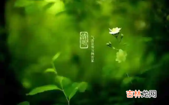 清明节上坟选日子是选阴历还是选阳历好