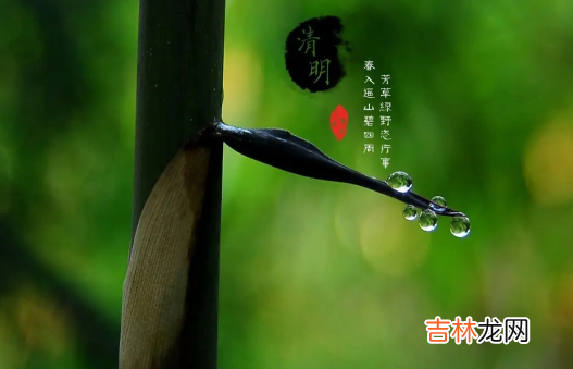 清明上坟可以单独上吗