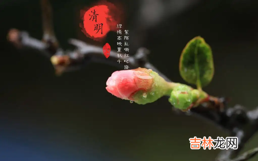 清明上坟可以单独上吗