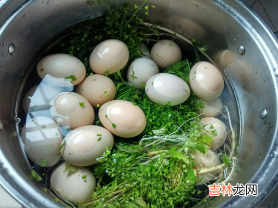 清明节用什么草煮鸡蛋