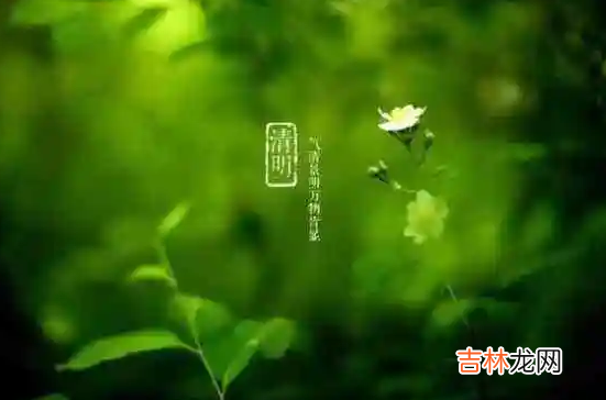 清明节先上外公坟还是爷爷坟