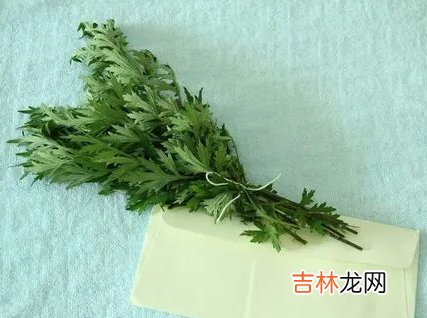 端午节挂艾草必须根部朝上吗