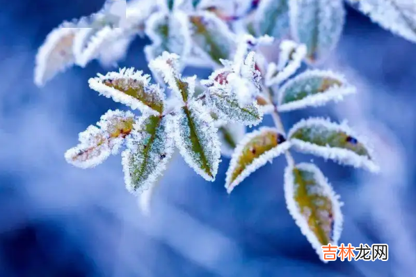 2022年4月会不会有霜冻