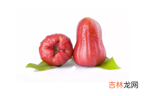 莲雾为什么叫棉花果