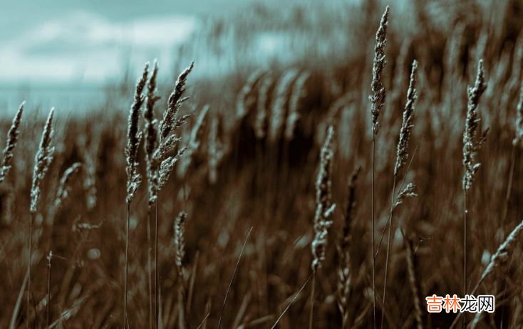 女人所有的退路,都是钱给的