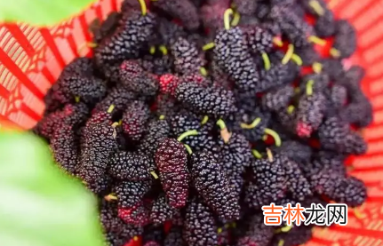 桑葚越黑的越甜吗