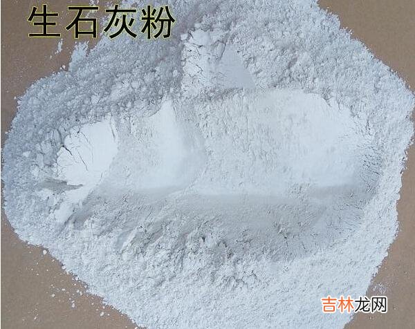 让你家中从此告别蜈蚣的方法 家里放一物绝对没蜈蚣