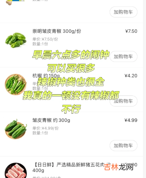 叮咚买菜晚上12点可下单吗