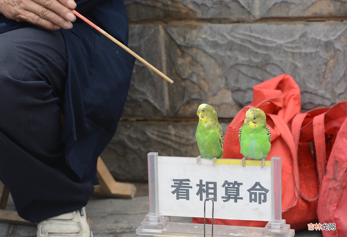 按生辰八字取名 按生辰八字五行取名