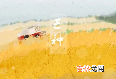 2022年芒种是几月几号几点几分
