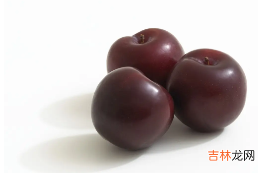 西梅和李子是一个品种吗