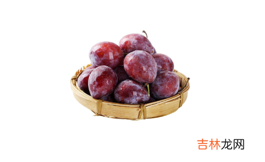 西梅和李子是一个品种吗
