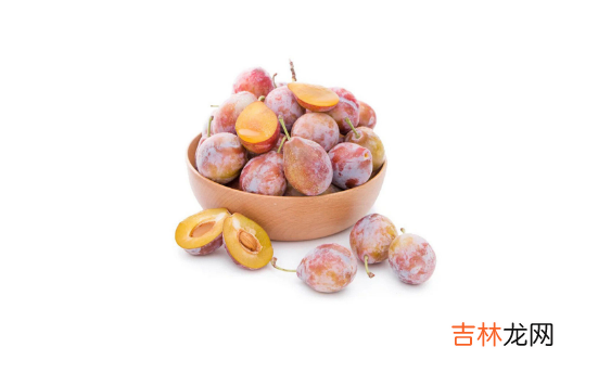 西梅和李子是一个品种吗