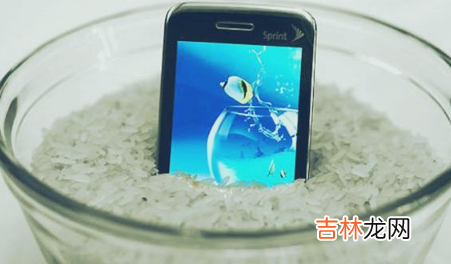 手机进水泡大米靠谱吗