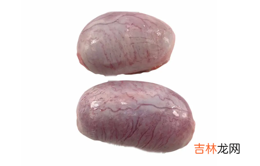 猪蛋是什么部位器官