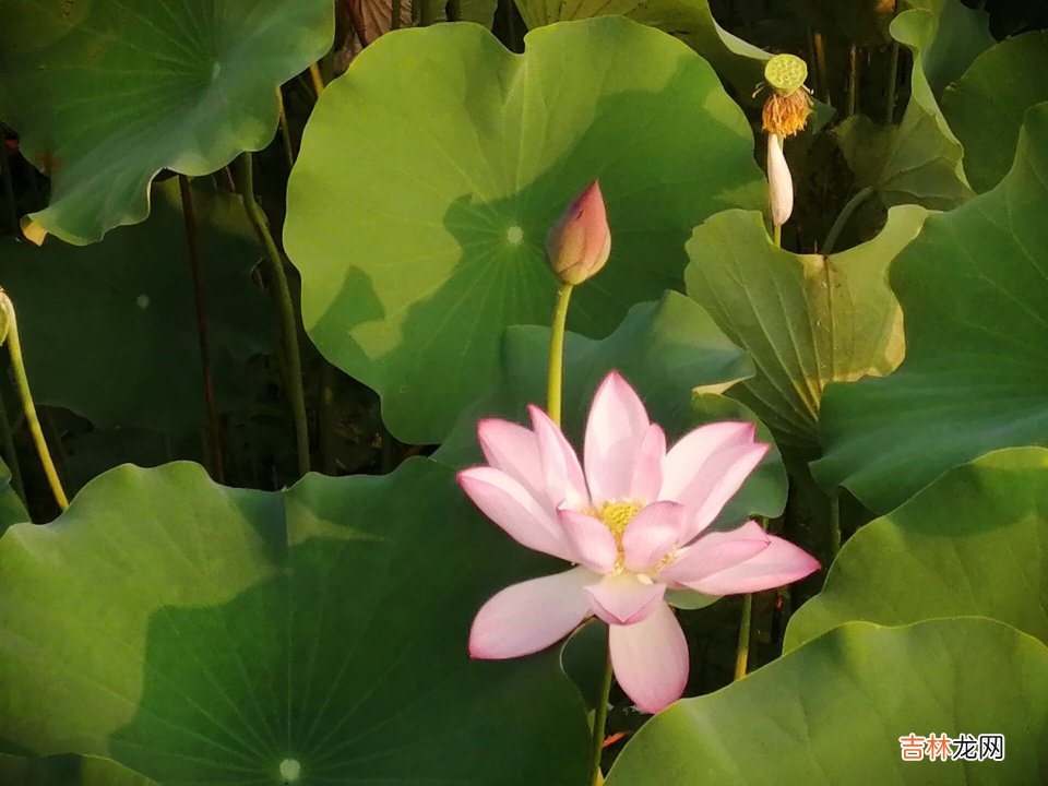 工作上的不开心怎么办?